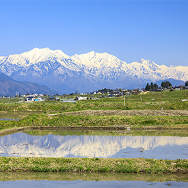 環境方針